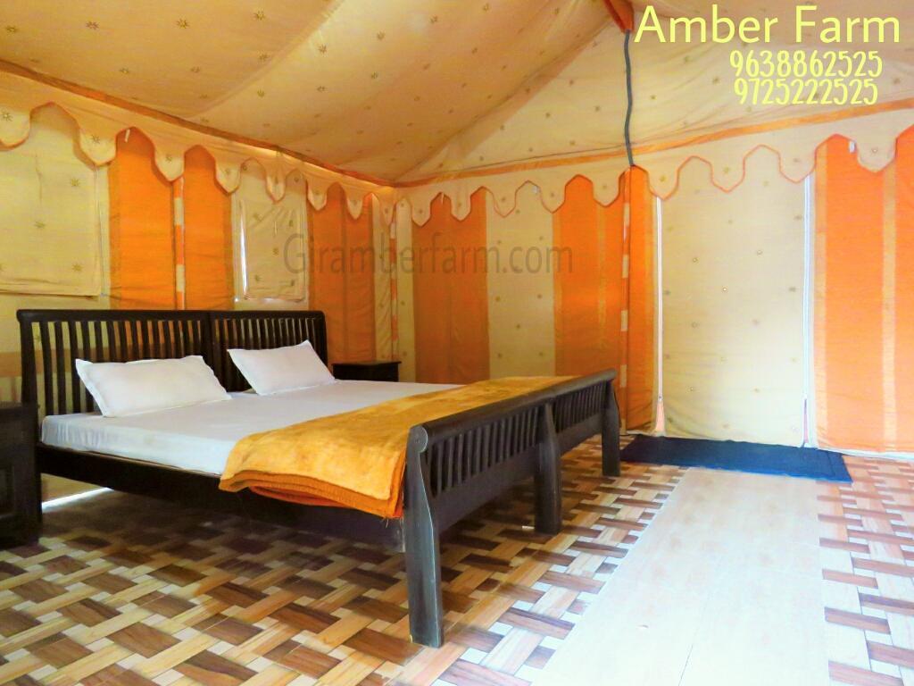 Amber Farm Otel Sasan Gir Dış mekan fotoğraf