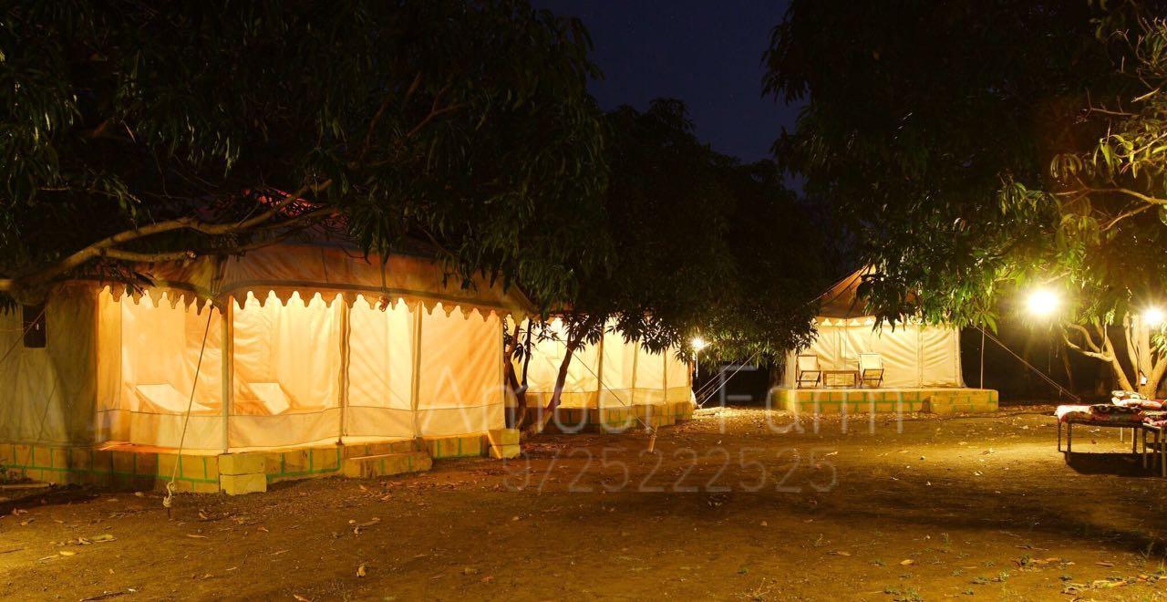 Amber Farm Otel Sasan Gir Dış mekan fotoğraf
